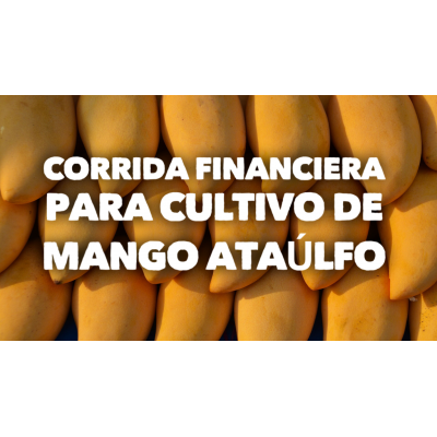 Corrida Financiera para Cultivo de Mango Ataulfo